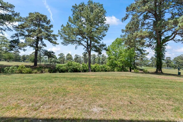 4771 Wild Iris Dr Unit 103, Myrtle Beach, SC 29577 - view of yard