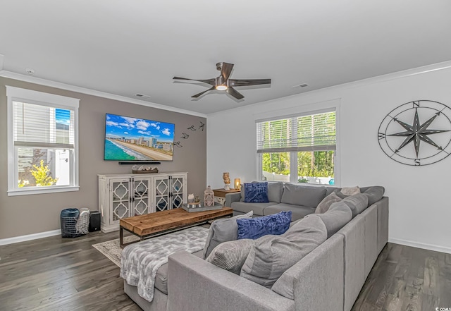 living room featuring ceiling fan, visible vents, baseboards, dark wood-style floors, and ornamental molding