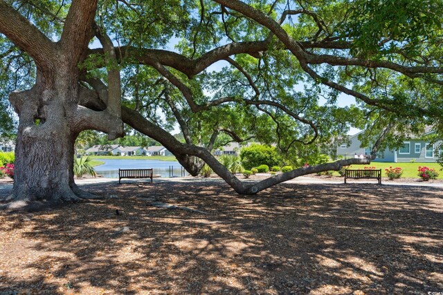 757 Cherry Blossom Dr, Murrells Inlet, SC 29576 - photo 39