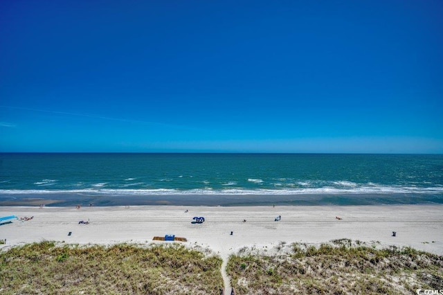 water view with a view of the beach