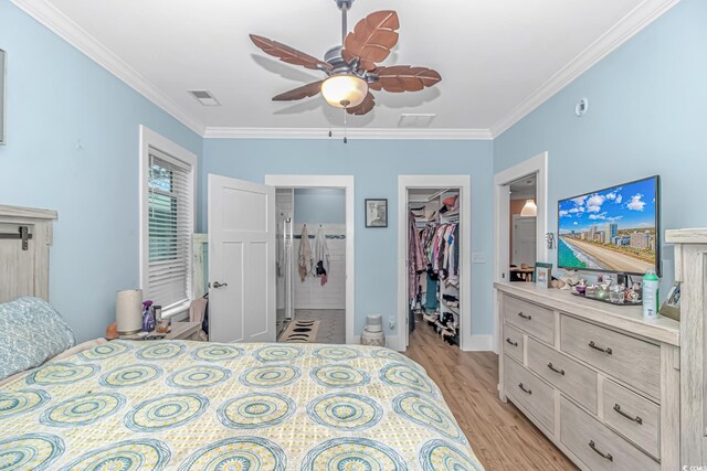 bedroom with a walk in closet, ornamental molding, light wood-style floors, a closet, and ceiling fan