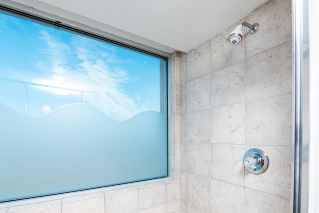 interior details with tiled shower