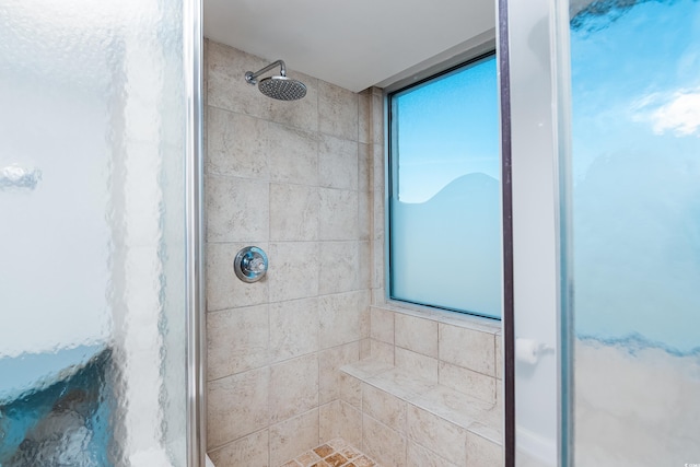 bathroom featuring a shower stall