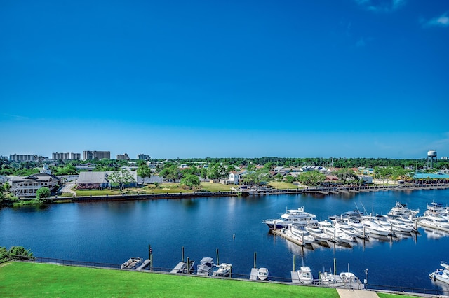 water view with a dock