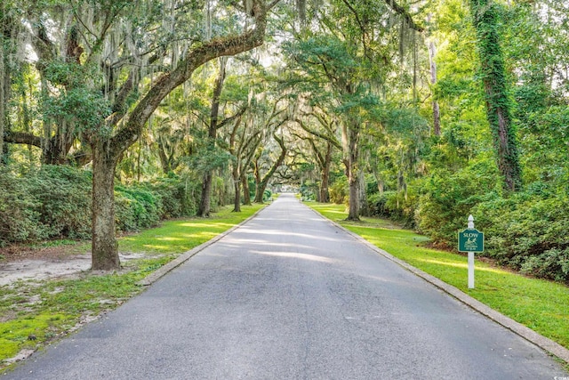 view of road with a forest view