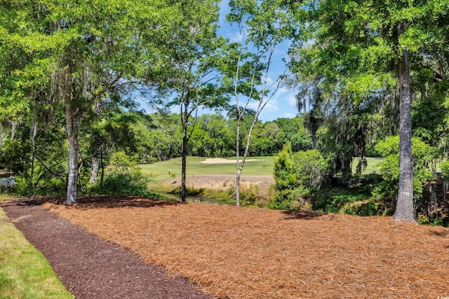 view of yard featuring golf course view
