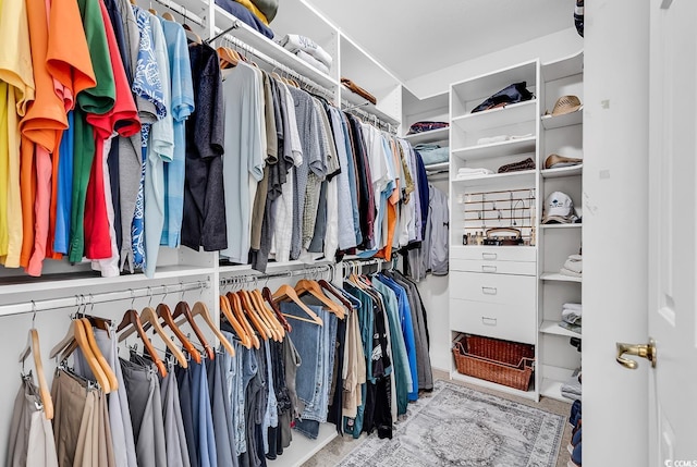 view of spacious closet