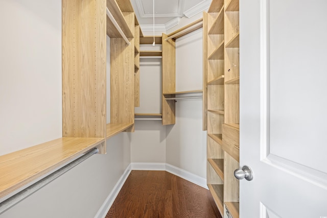 spacious closet with attic access and dark wood-style flooring