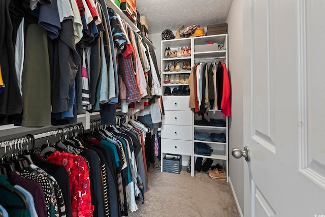 walk in closet featuring carpet floors
