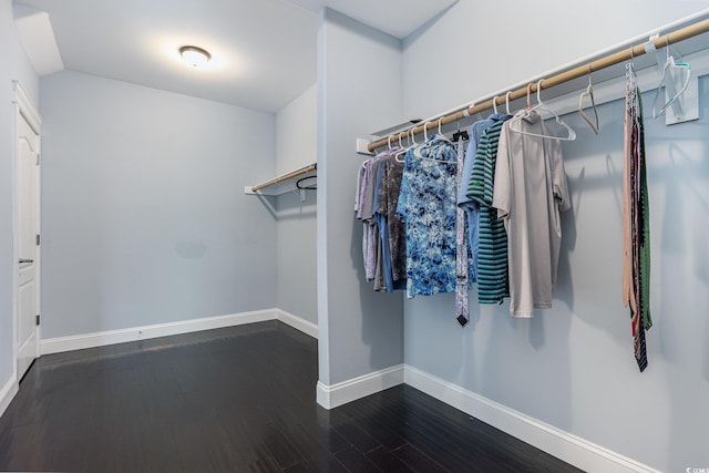 walk in closet featuring dark wood-style floors