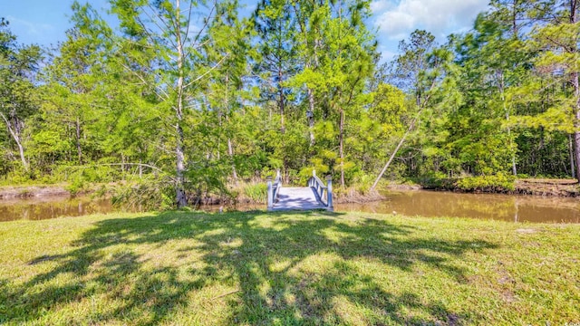 4524 Ramsey Ford Rd, Tabor City, NC 28463 - photo 33