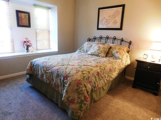 916 Charles St, North Myrtle Beach, SC 29582 - carpeted bedroom with baseboards and multiple windows