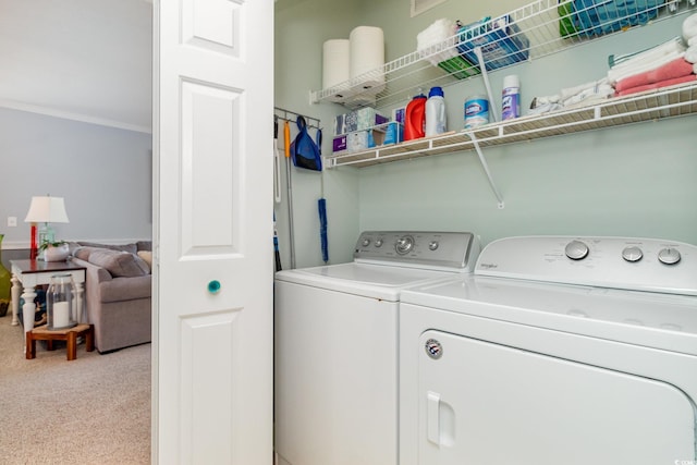 4847 Carnation Cir Unit 201, Myrtle Beach, SC 29577 - washroom featuring crown molding, light carpet, laundry area, and washing machine and clothes dryer