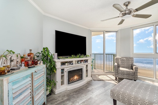 2507 S Ocean Blvd Unit 403, North Myrtle Beach, SC 29582 - living room featuring wood finished floors, a ceiling fan, ornamental molding, and a glass covered fireplace