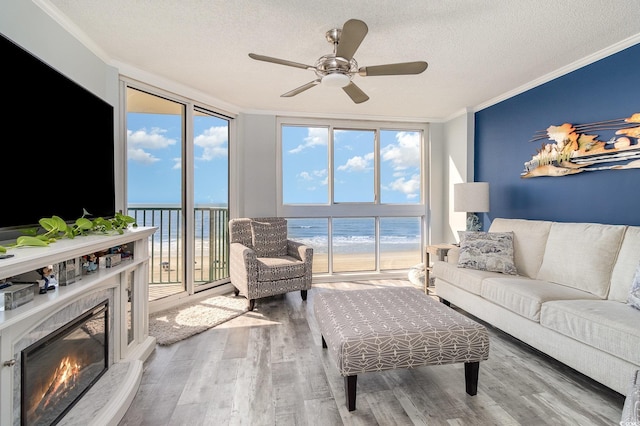 2507 S Ocean Blvd Unit 403, North Myrtle Beach, SC 29582 - living room with ornamental molding, ceiling fan, a textured ceiling, and wood finished floors