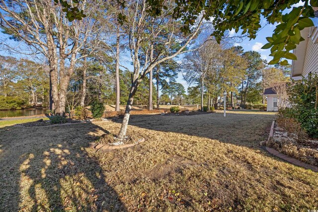9628 Indigo Creek Blvd, Murrells Inlet, SC 29576 - view of yard