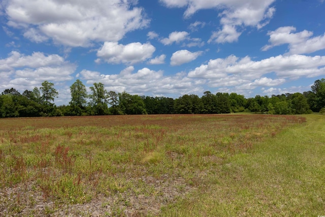 TRACT2A Grandpa Ln, Loris, SC 29569