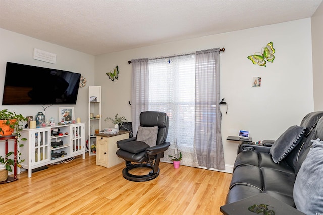 1015 Elm St Unit 18, Conway, SC 29526 - living room with light wood-type flooring