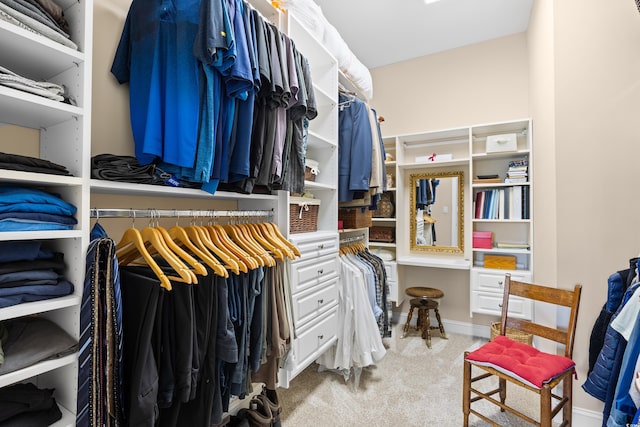 spacious closet featuring carpet flooring