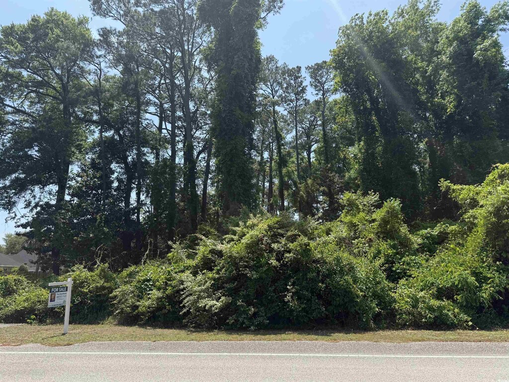 TBD Minneola Ave, Little River, SC 29566 - photo 4