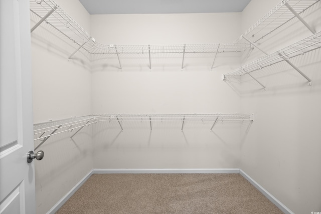 962 Witherbee Way, Little River, SC 29566 - spacious closet with carpet