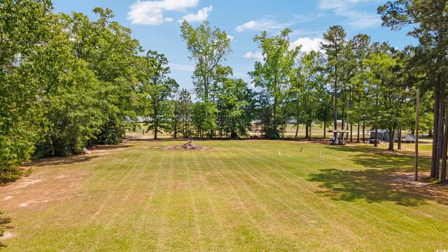 151 Saddle Dr, Loris, SC 29569 - photo 29