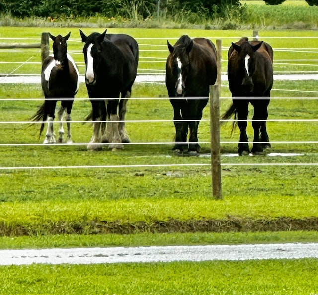 view of stable