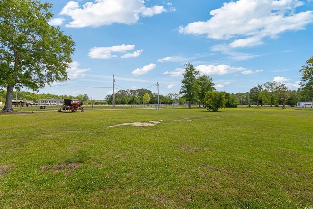 151 Saddle Dr, Loris, SC 29569 - photo 33