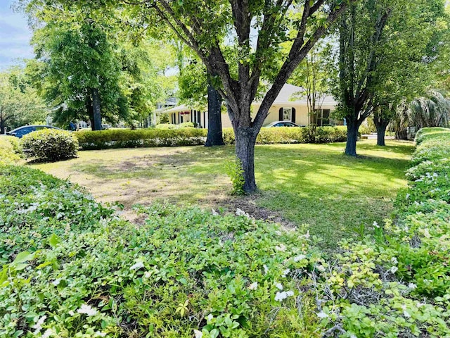 801 Talbot Cir, Myrtle Beach, SC 29577 - view of grassy yard
