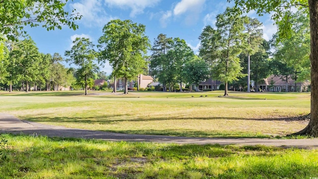 813 Bear Lake Dr, Longs, SC 29568 - photo 36
