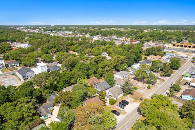 drone / aerial view