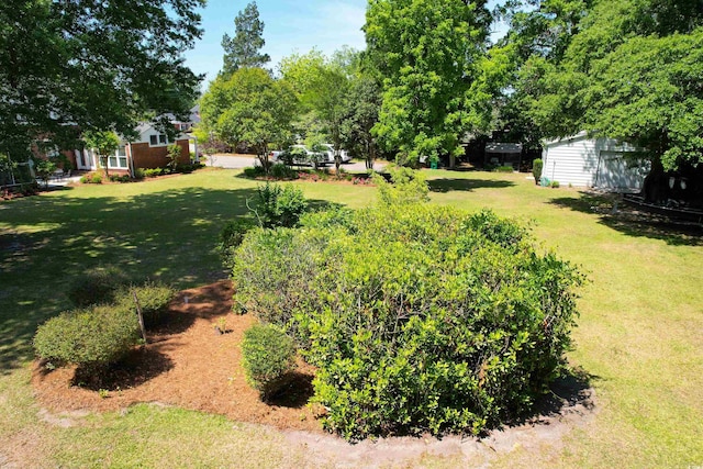 402 E Broad St, Hemingway, SC 29554 - view of green lawn with an outdoor structure and a shed