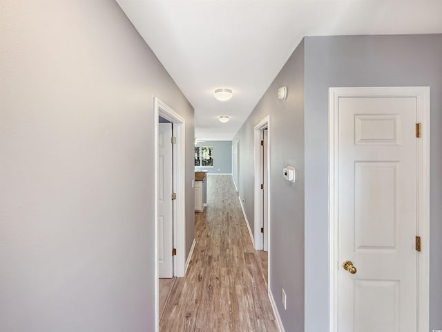 1041 Blue Stem Dr Unit 37A, Pawleys Island, SC 29585 - corridor featuring light wood-style flooring and baseboards