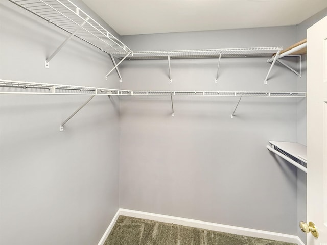 1041 Blue Stem Dr Unit 37A, Pawleys Island, SC 29585 - spacious closet featuring carpet