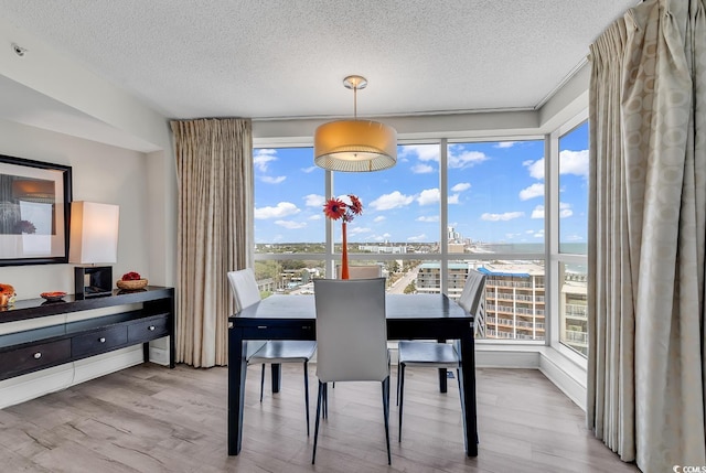 107 S Ocean Blvd Unit 1001, Myrtle Beach, SC 29577 - dining space with a textured ceiling, a wealth of natural light, and wood finished floors