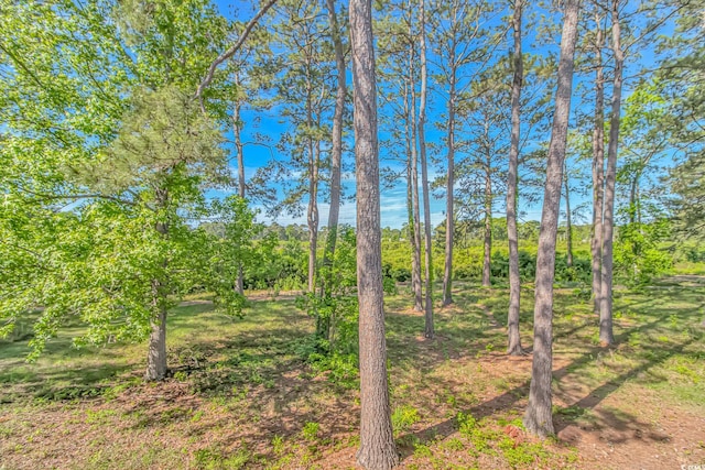 2312 Sweetwater Blvd Unit 2312, Murrells Inlet, SC 29576 - photo 21