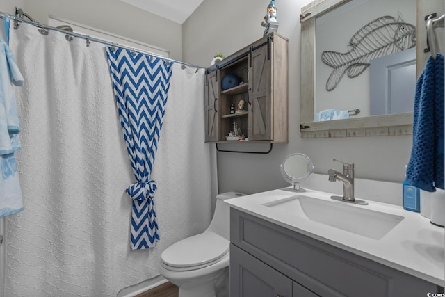 804 Twickenham Loop, Longs, SC 29568 - full bathroom with toilet, vanity, and curtained shower