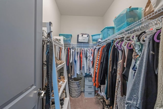 804 Twickenham Loop, Longs, SC 29568 - view of walk in closet