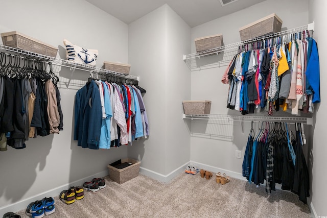 4609 Day Lily Run St, Myrtle Beach, SC 29579 - walk in closet with carpet flooring