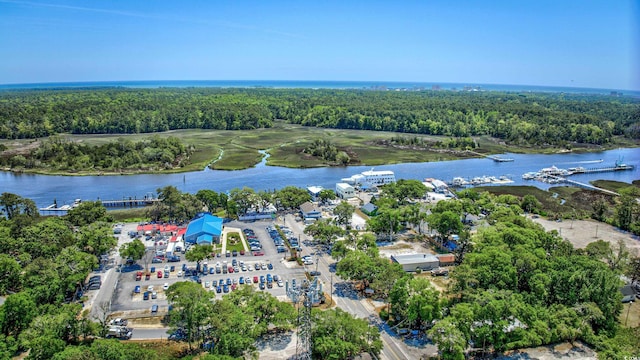 aerial view featuring a water view and a view of trees