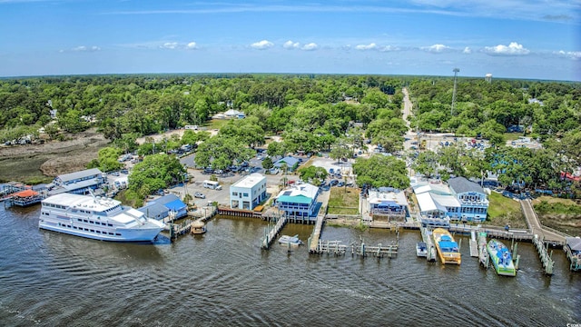 bird's eye view featuring a water view and a wooded view