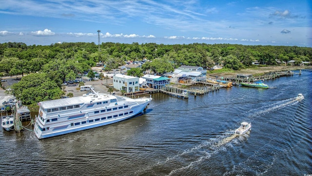 aerial view featuring a water view and a view of trees