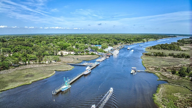 aerial view with a water view and a wooded view
