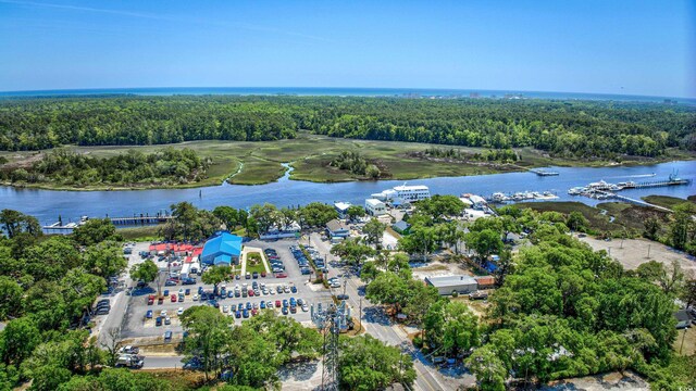aerial view featuring a water view and a view of trees
