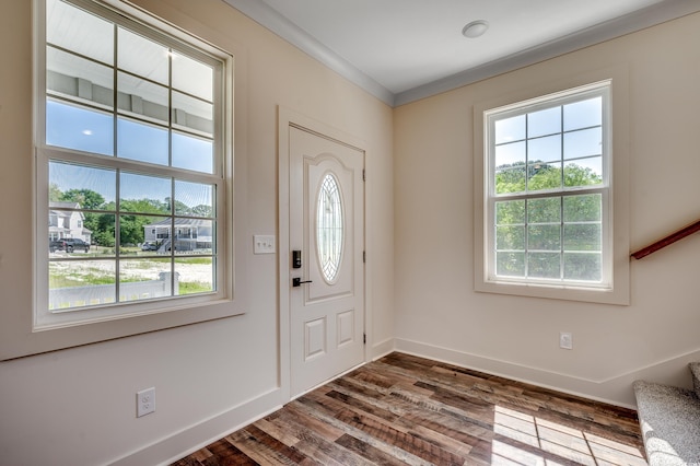 entrance foyer with a wealth of natural light, baseboards, and dark wood-style floors