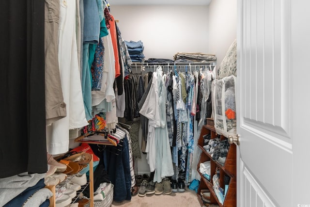 view of walk in closet