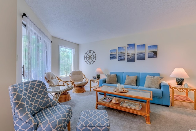 living room with carpet flooring and a textured ceiling