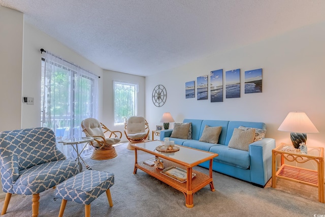 carpeted living area featuring a textured ceiling