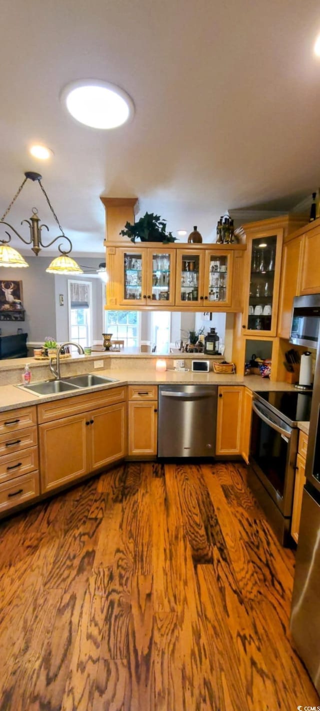 1717 Perdiz Covey Ct, Myrtle Beach, SC 29588 - kitchen with appliances with stainless steel finishes, a sink, dark wood-style floors, and light countertops