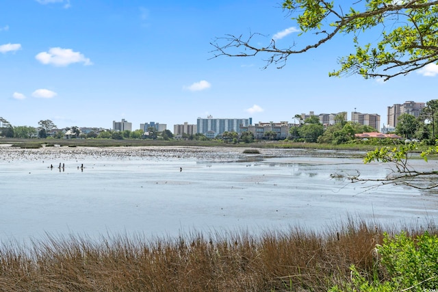 property view of water featuring a city view